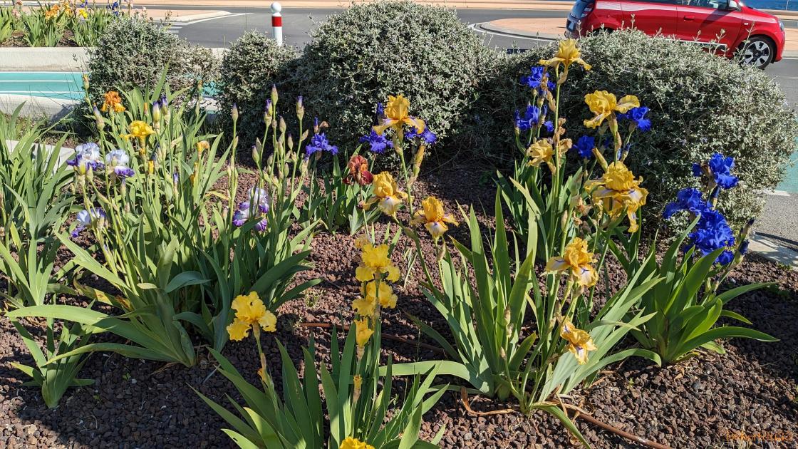 Suite pour aller à Hyères  -2