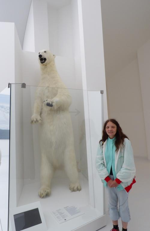 Musée des Mondes Polaires, séjour camping-car