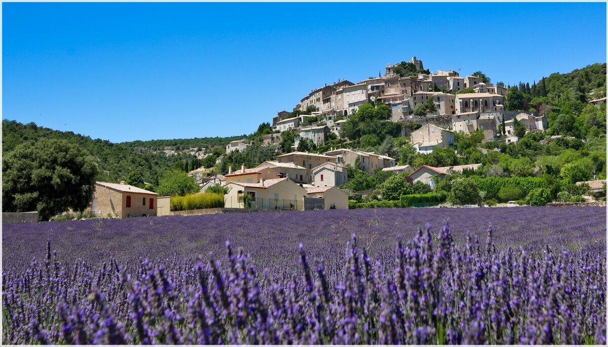 Objectif Provence ( part 2) 