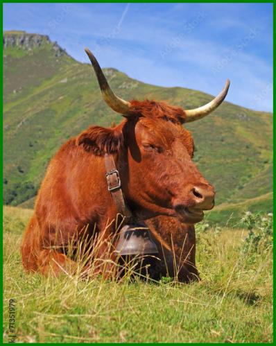  ⊱♥⊱╮ღ꧁  15 Le Cantal ꧂ღ ⊱♥≺  