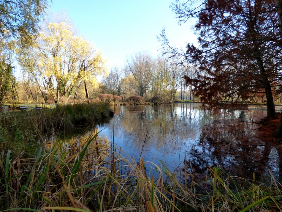 Irrésistiblement, elle m'appelle