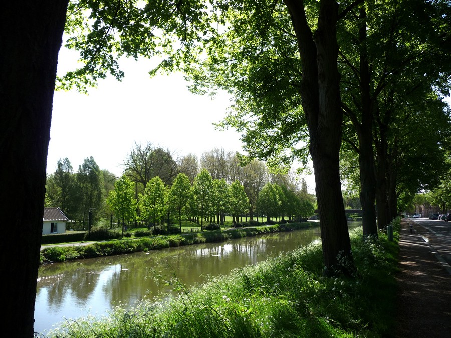 Le soleil arrive à Amiens ☼