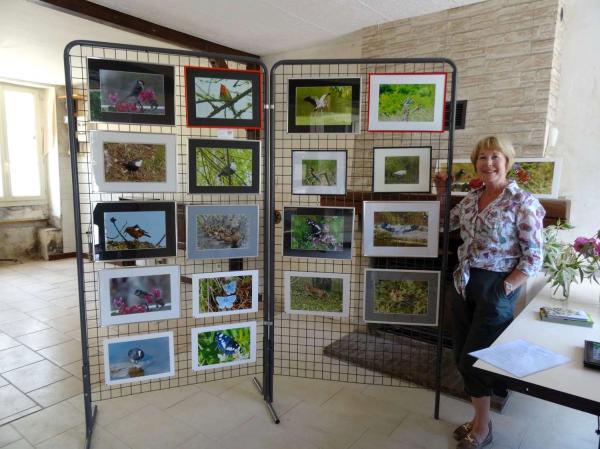 Passion peinture 2015 à Brion sur Ource