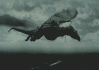 Gif_121.gif