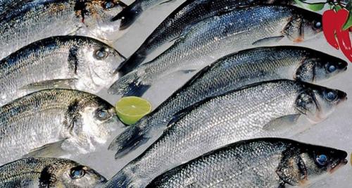 Fraude alimentaire : Le poisson, produit à risque