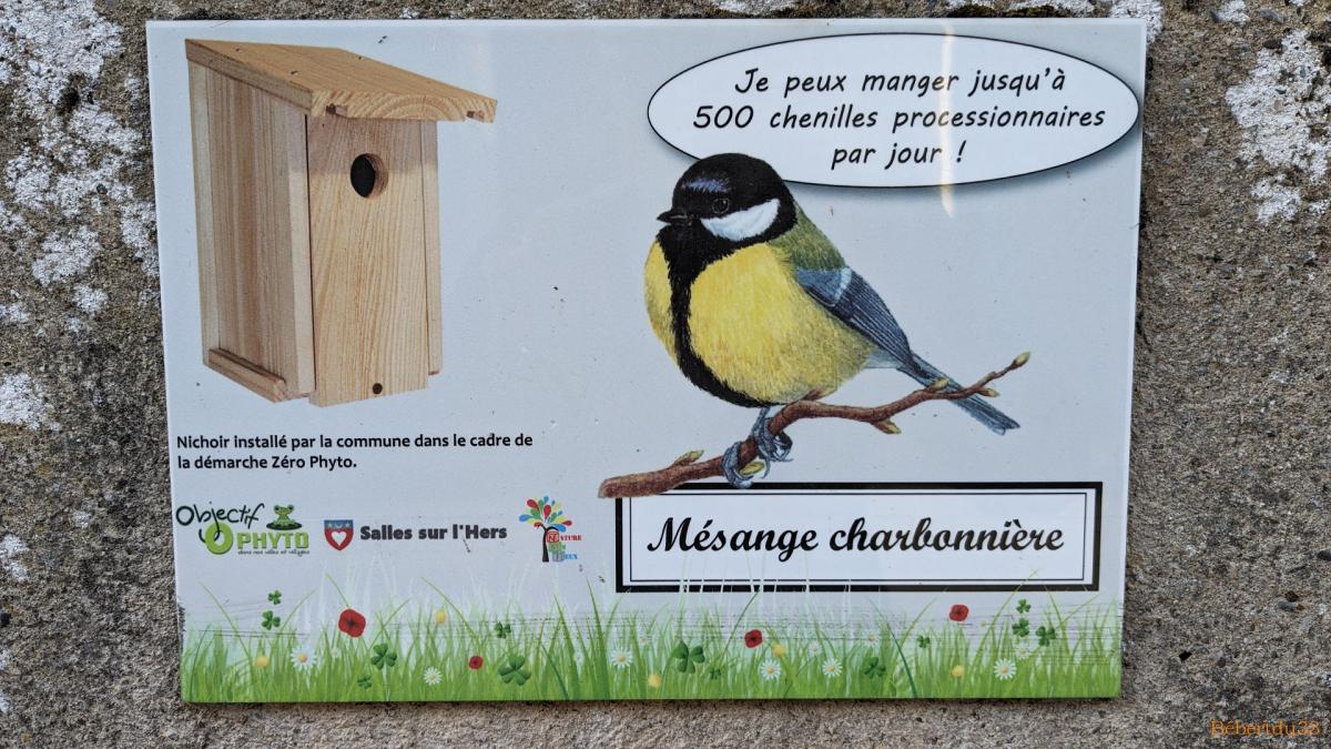 Vue à Salles sur L'Hers dans l'Aude