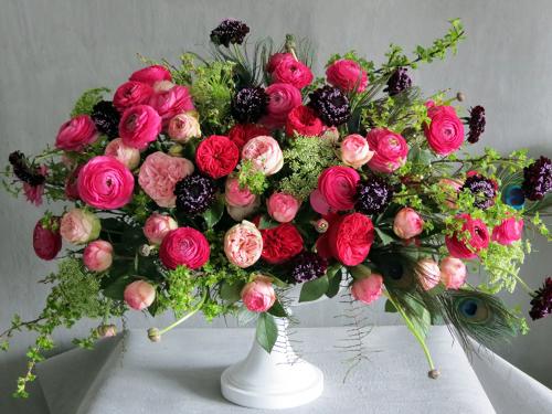 Fleurs cultivées : Renoncule