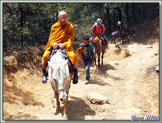 Blog de images-du-pays-des-ours : Images du Pays des Ours (et d'ailleurs ...), Moine en pèlerinage vers le Monastère de Taktsang Pelphug (Tiger Nest Monastery) - Paro - Bhoutan