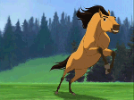 Il cours SPIRIT ♥
