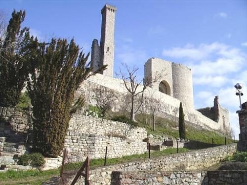 Albi  (Tarn)