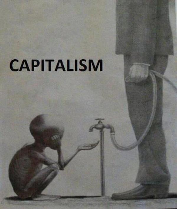 Afficher l'image d'origine