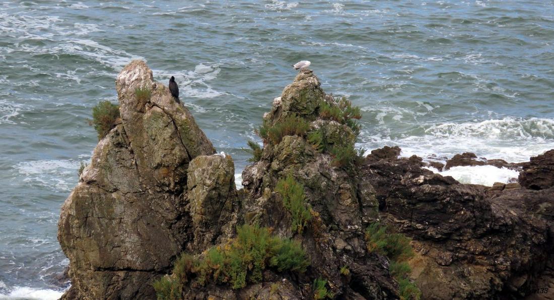 Saint Marc sur Mer 