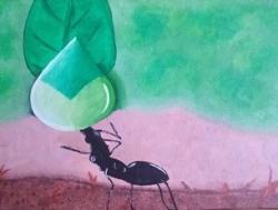 Ignara : Le Monde des Fourmis