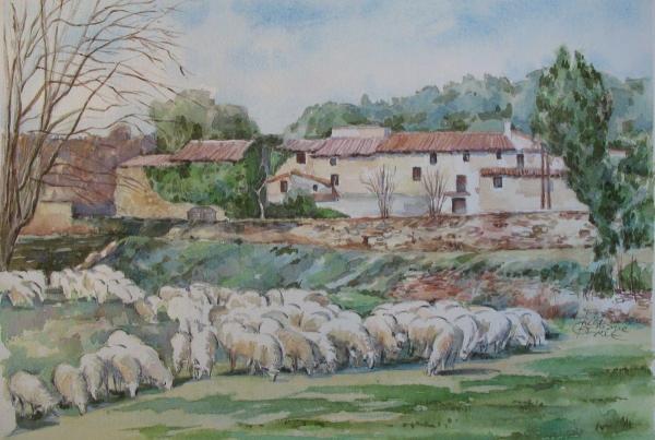 Aquarelles de : Christiane Prévost