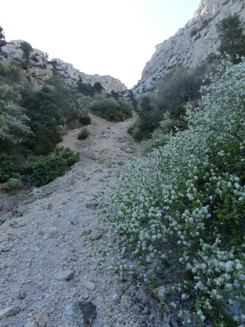 Plateau de l'Homme Mort