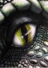 Regard_040.jpg