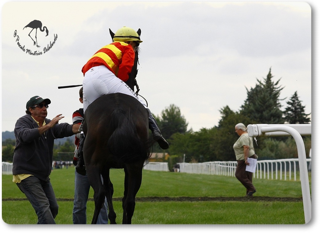 Hippodrome des Courbiers - Nimes (30)