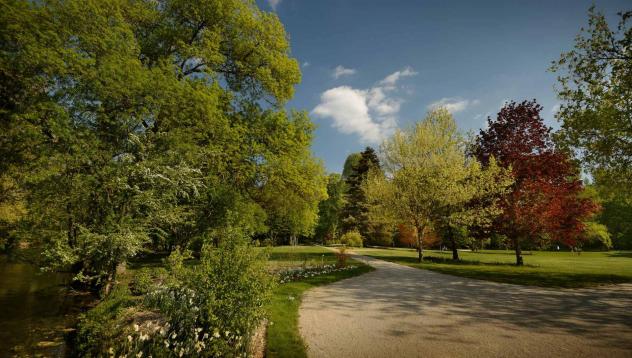 Résultat de recherche d'images pour "parc nature azay le rideau"