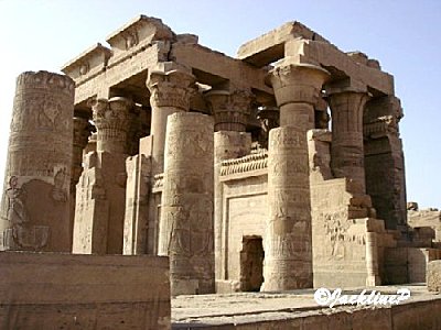 DSC03737kom Ombomarq1