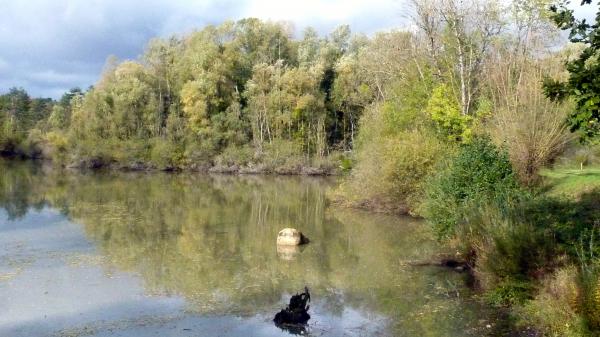 Randonnée autour de Moret-sur-Loing avec Générations13