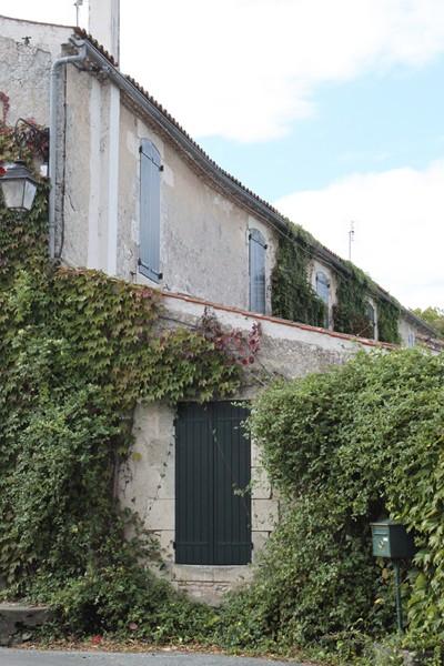 2 Mornac sur Seudre (24)