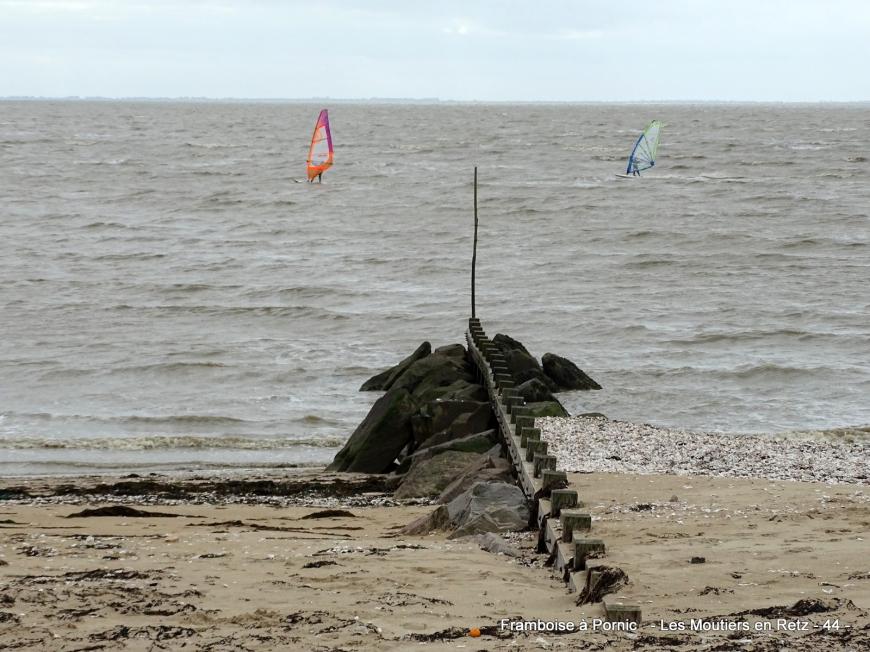 Petite balade sur le littoral aux Moutiers en retz 