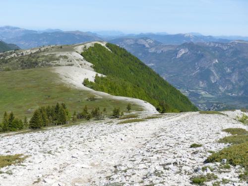 Le Contras (montagne de Lure)