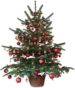 Mon beau sapin...