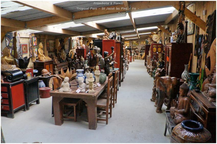 Tropical Parc St Jacut les Pins - 56 -