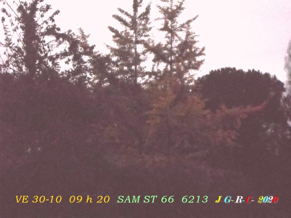 CIEL DE JOUR OU DE NUIT Semaine  44  D  01-11-2020