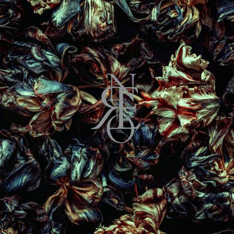 CRONE - Les détails du nouvel album Gotta Light? ; "Gemini" Clip