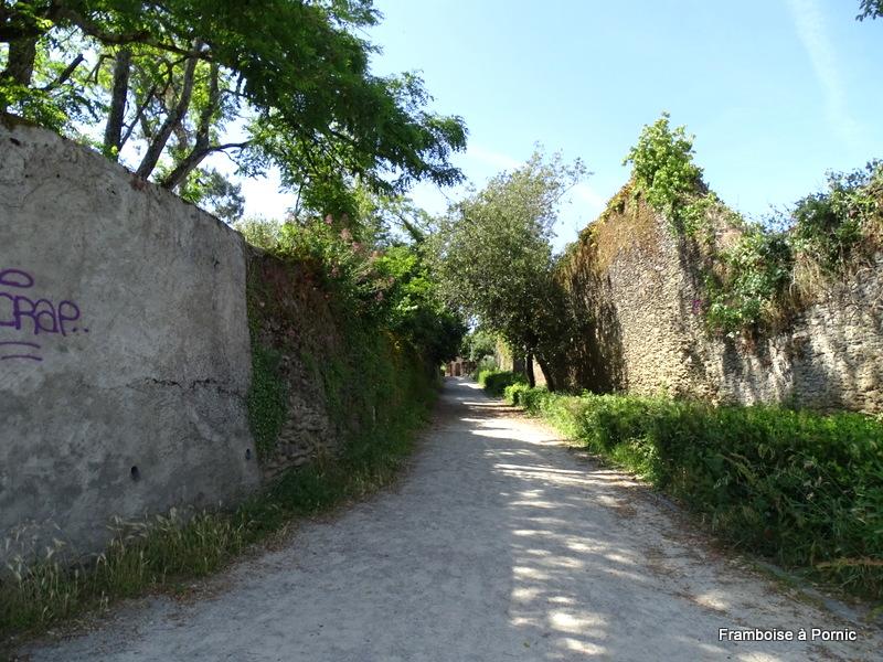 Restaurant Marius Pornic et balade sentier Noéveillard à Pornic 