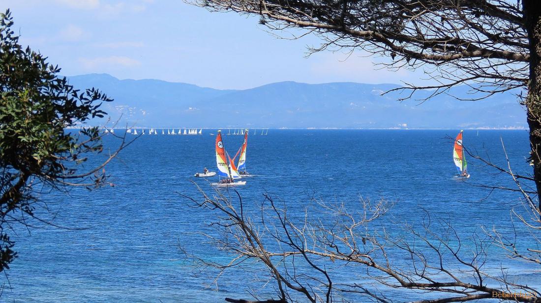 la presqu'île de Giens - 9