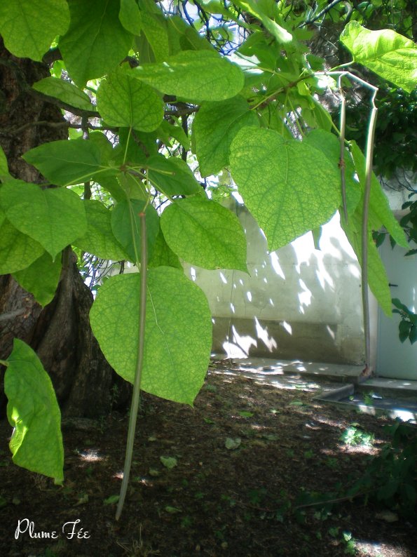 Image005.jpg