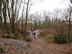 CR / RANDO 15 / ST-MEDARD-EN-JALLES