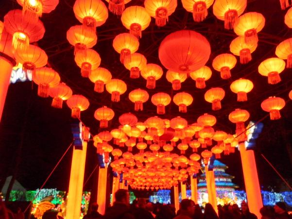 Festival des Lanternes à GAILLAC (81)