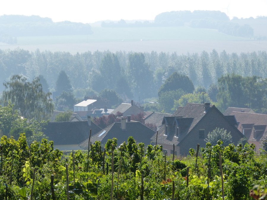 Le long de la coulée verte