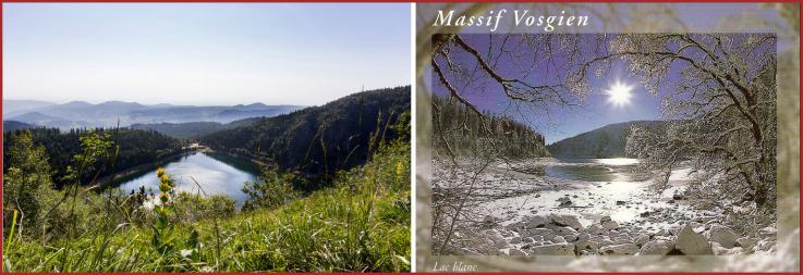 ╰⊱♥⊱╮ღ꧁ Département 88  ꧂ღ╭⊱♥≺