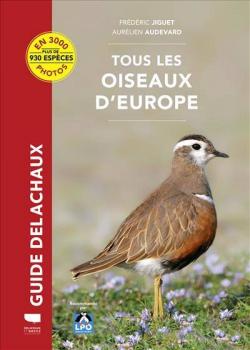 Tourterelles Turques