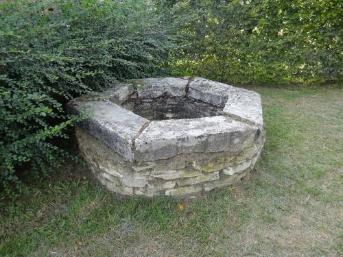 Une belle balade à Chaumont le bois et Vannaire, guidée par Anne Bouhélier