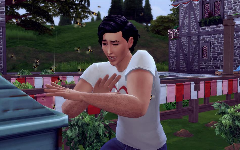 [CALF] Eté 3 - Semaine 13 - Jours 87 à 91