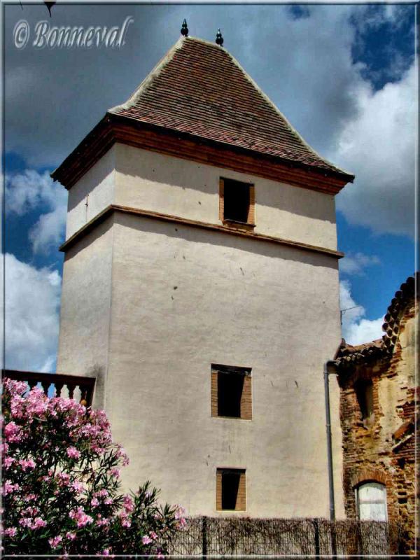 Grenade-sur-Garonne bastide Haute-Garonne pigeonnier de la Maison Serres