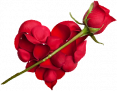 St Valentin 2018
