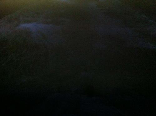 Rhône Autoroute et Dessous - Camargue