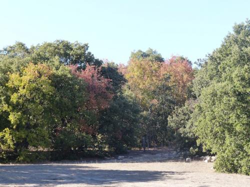 Plateau de Ganagobie