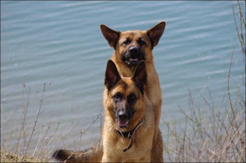 Blagounettes du mercredi ... !!!