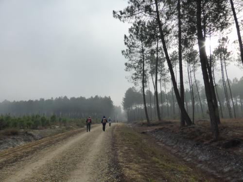 R 15 / CR - LANDIRAS