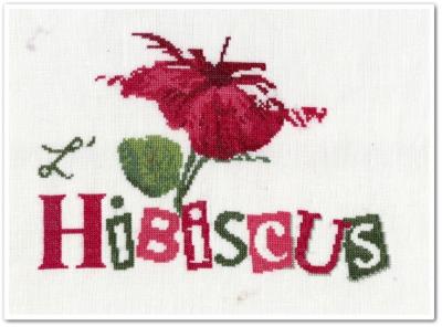 L'hibiscus de Lili Points - 5
