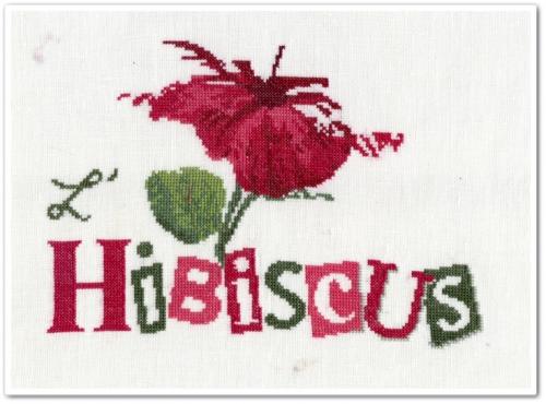 L'hibiscus de Lili Points - 4
