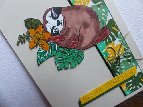 Joyeux Anniversaire ... 66